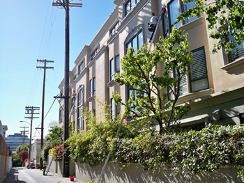 condo complexes